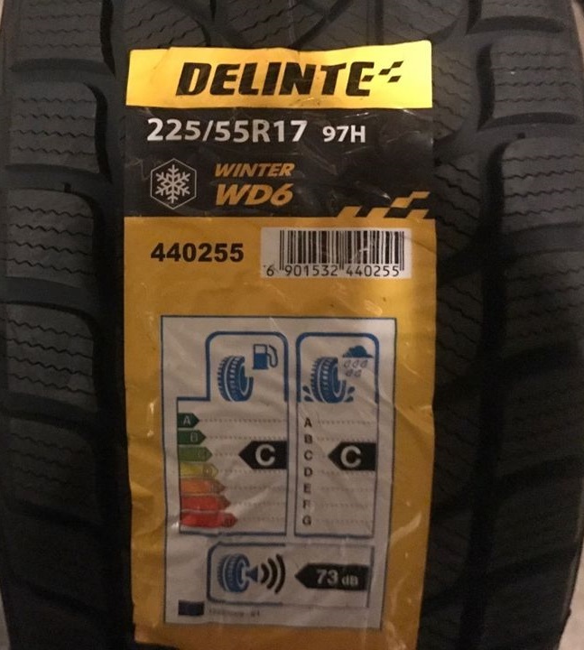 Delinte Winter WD6 (2)
